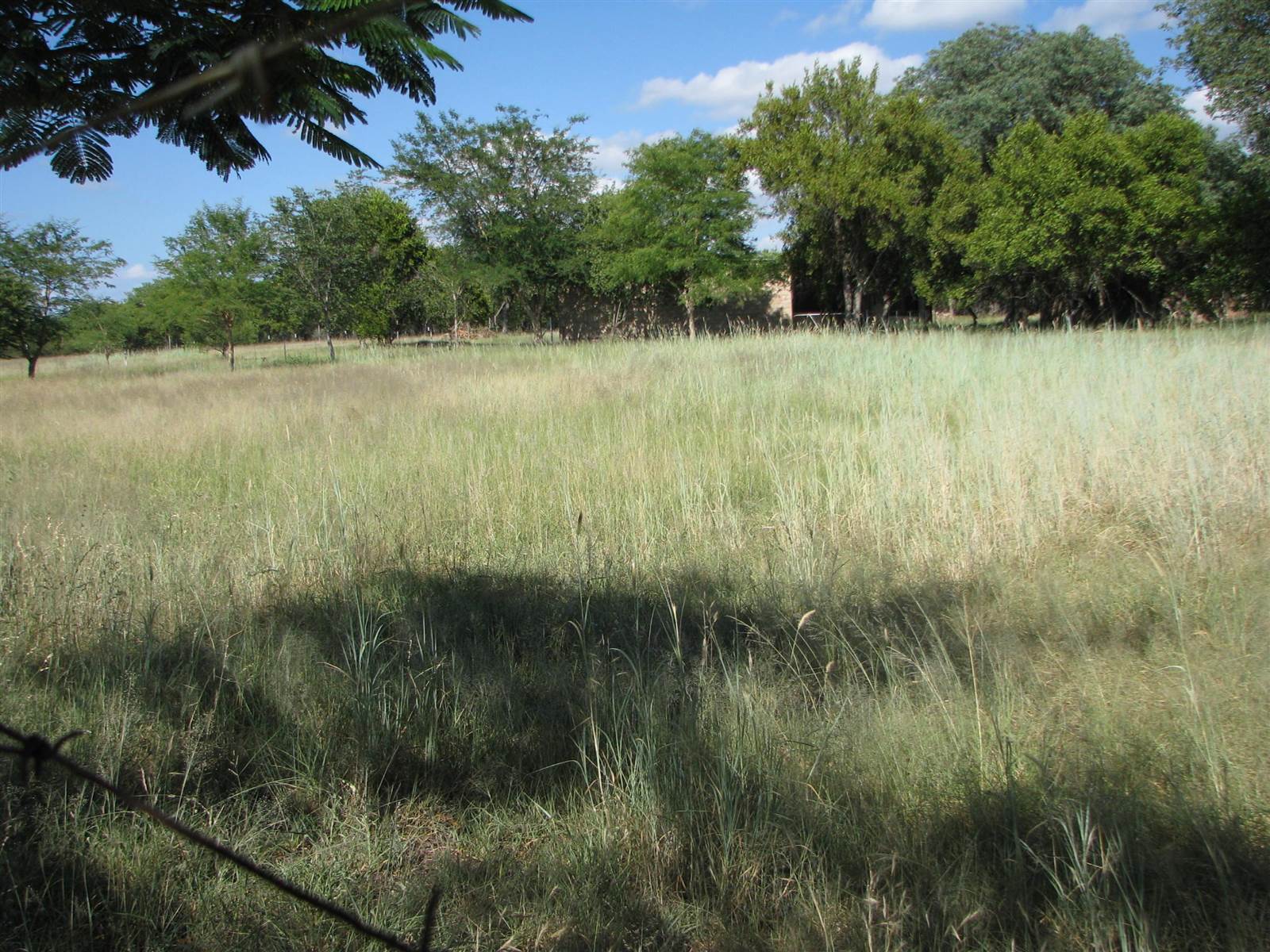 15 ha Land available in Naboomspruit photo number 5