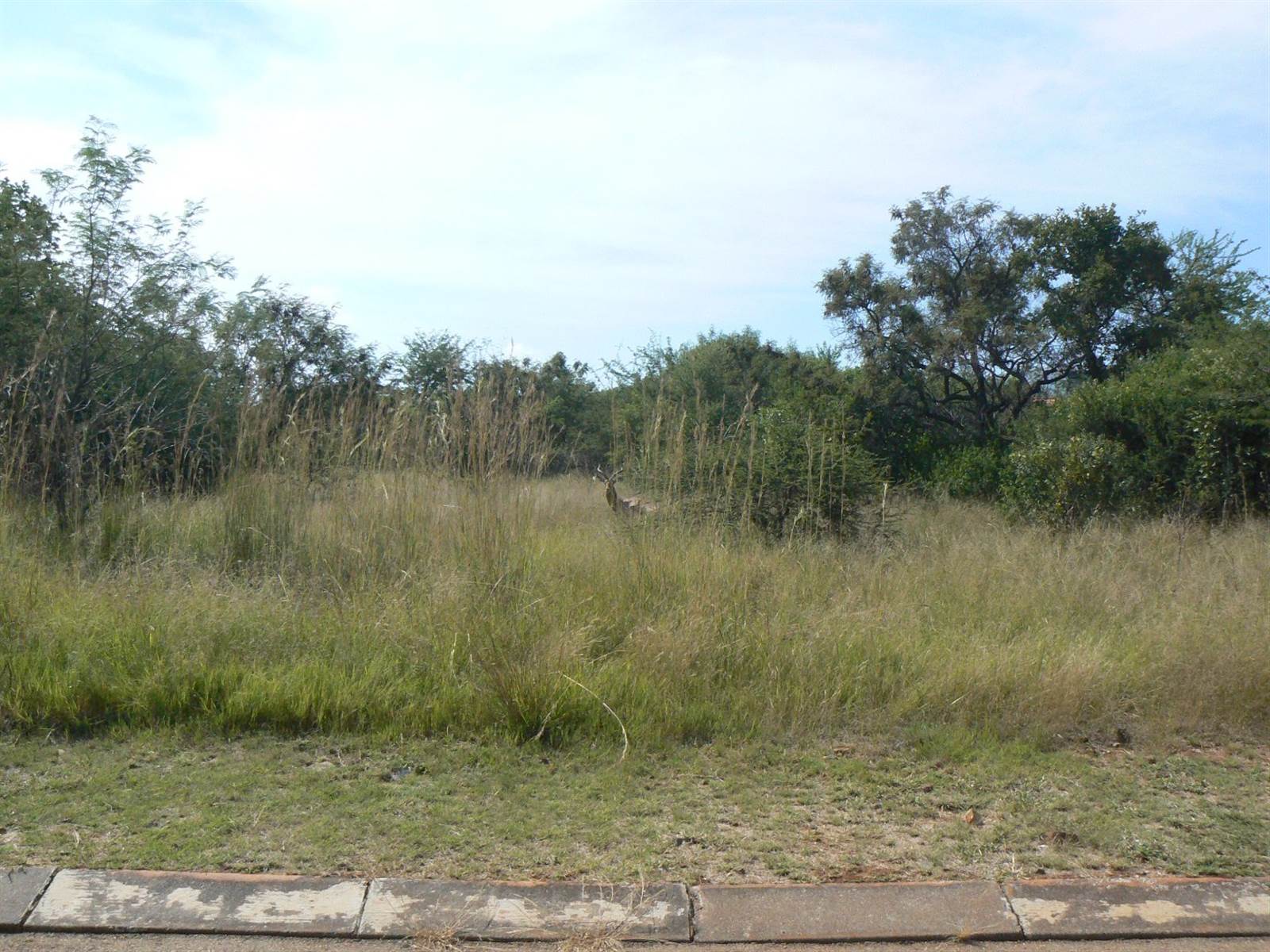 1006 m² Land available in Seasons Lifestyle Estate photo number 1