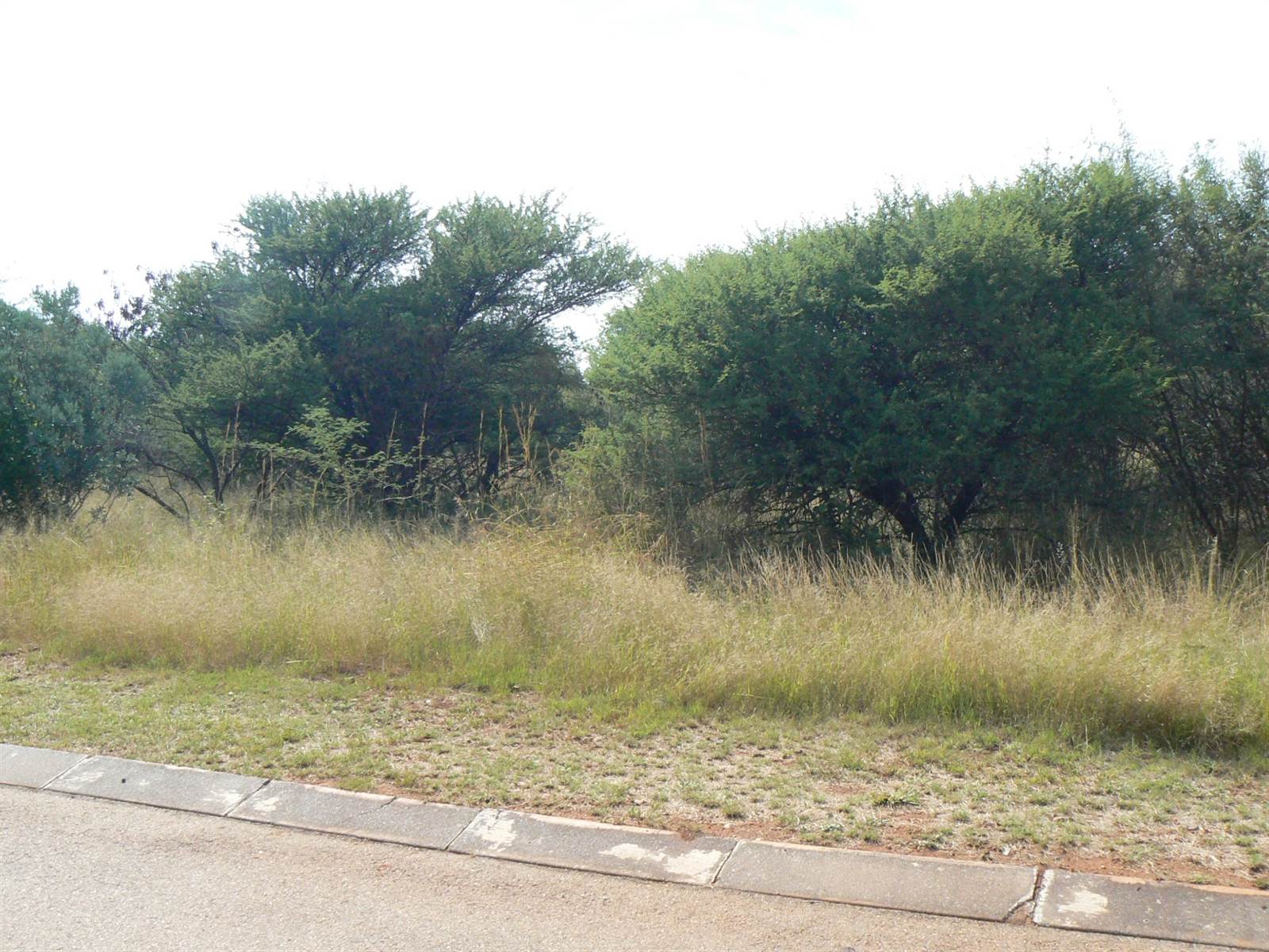 1006 m² Land available in Seasons Lifestyle Estate photo number 2