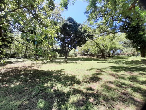 3445 m² Land available in Sea Park