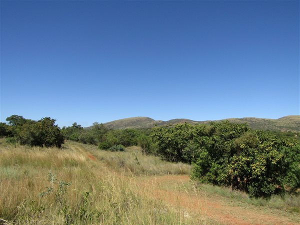 442 m² Land available in Seasons Lifestyle Estate