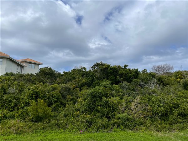 981 m² Land available in St Francis Bay