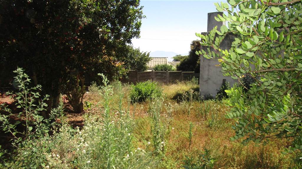 1206 m² Land available in Linkside photo number 7