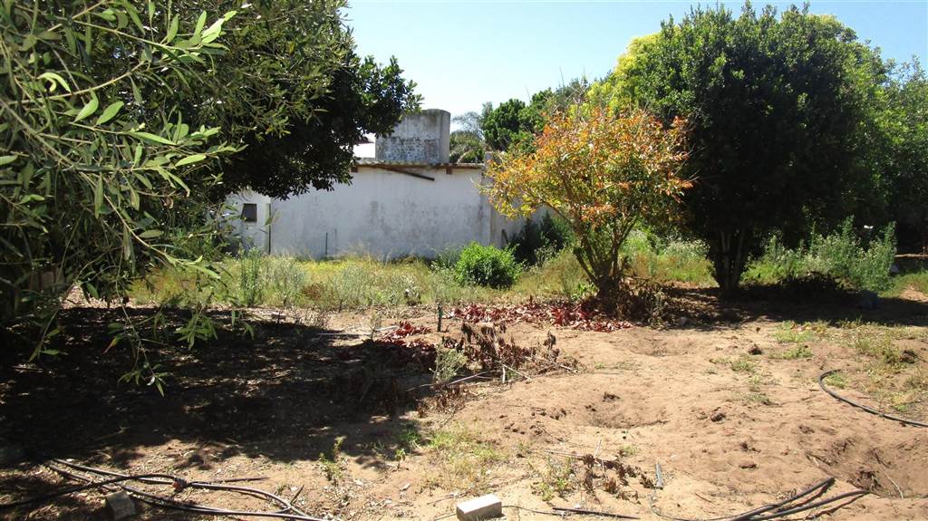 1206 m² Land available in Linkside photo number 4