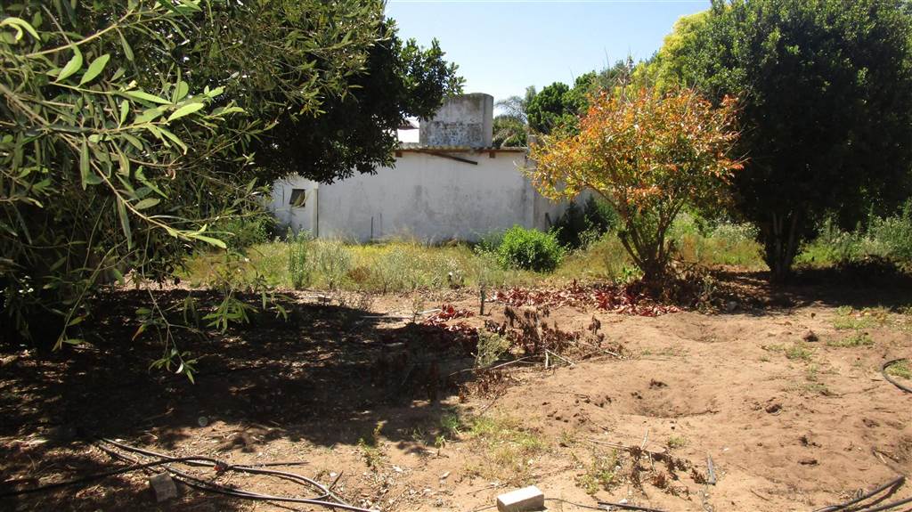1206 m² Land available in Linkside photo number 3
