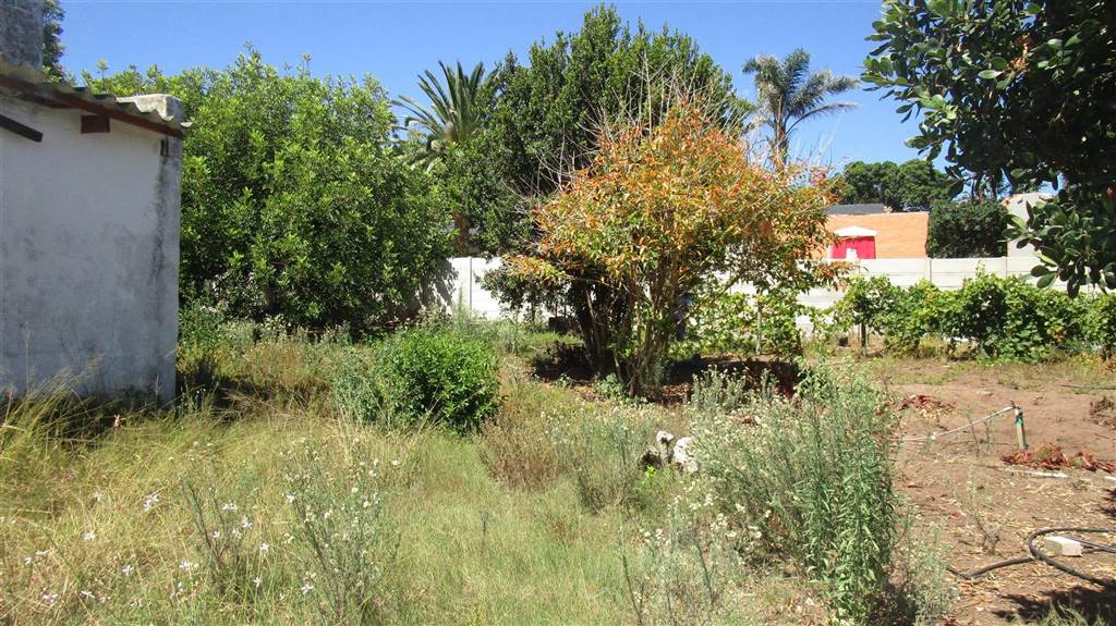 1206 m² Land available in Linkside photo number 10