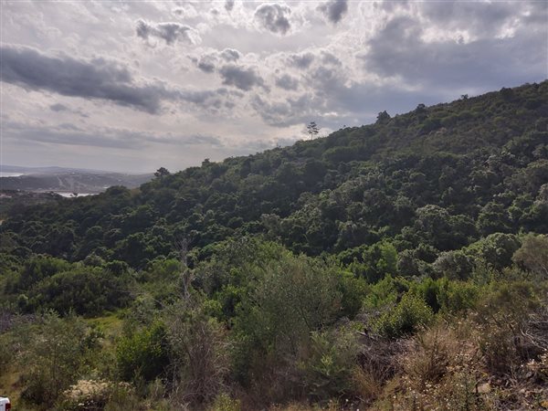 16.6 ha Land available in Great Brak River