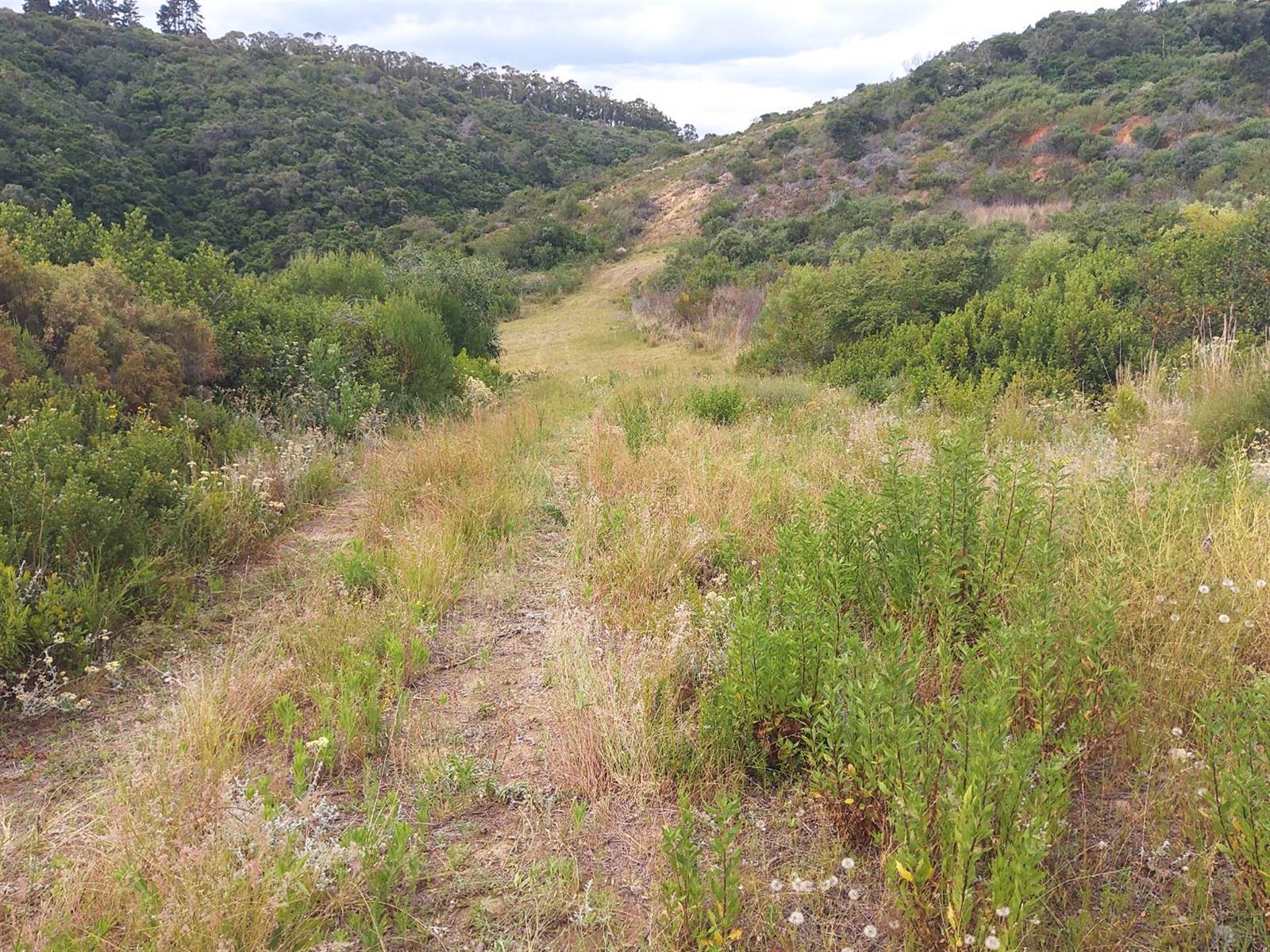 16.6 ha Land available in Great Brak River photo number 27