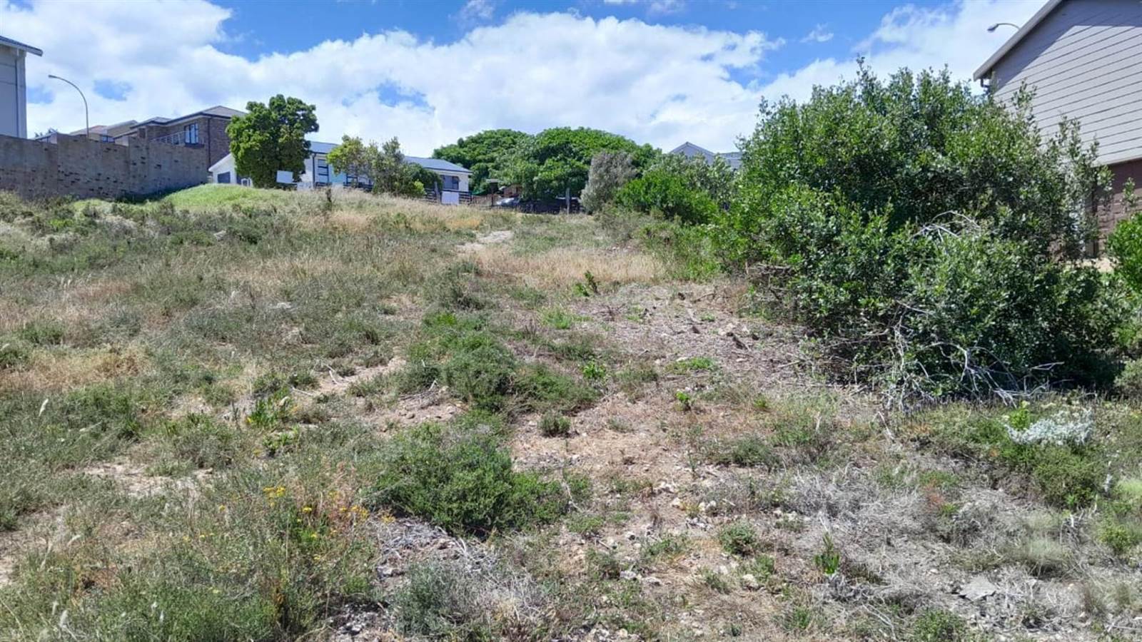 1052 m² Land available in Dana Bay photo number 7