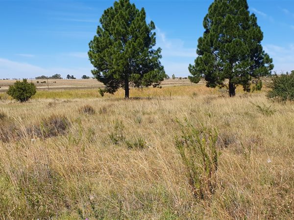 1382 m² Land available in Vredefort