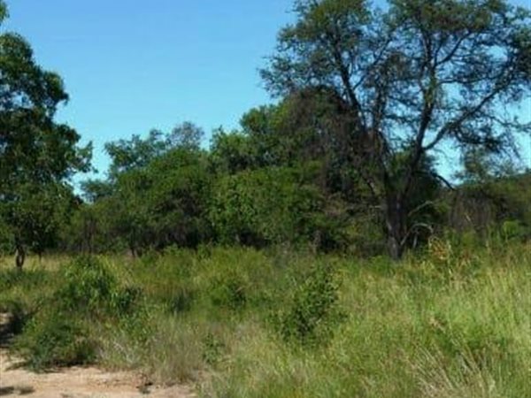 8.6 ha Land available in Mookgophong (Naboomspruit)