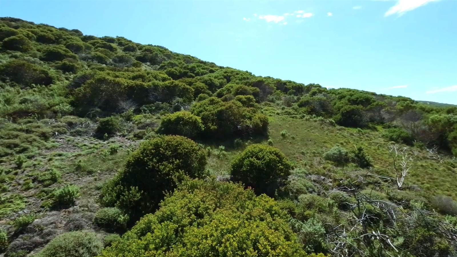 600 m² Land available in Brenton on Sea photo number 12