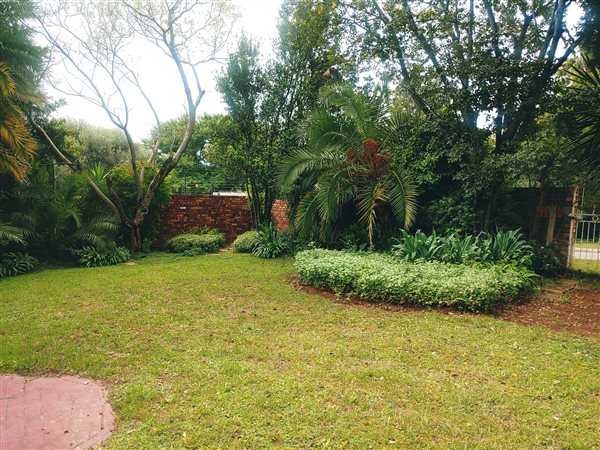 3 Bedroom House 3 Bedroom House