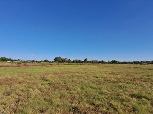 2.1 ha Smallholding in Lindequesdrif