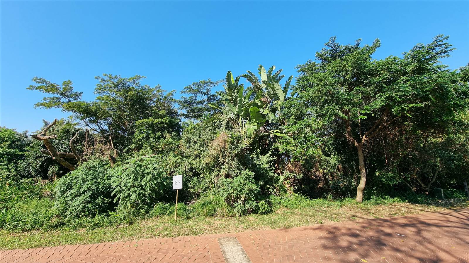 1168 m² Land available in Elaleni Coastal Forest Estate photo number 3