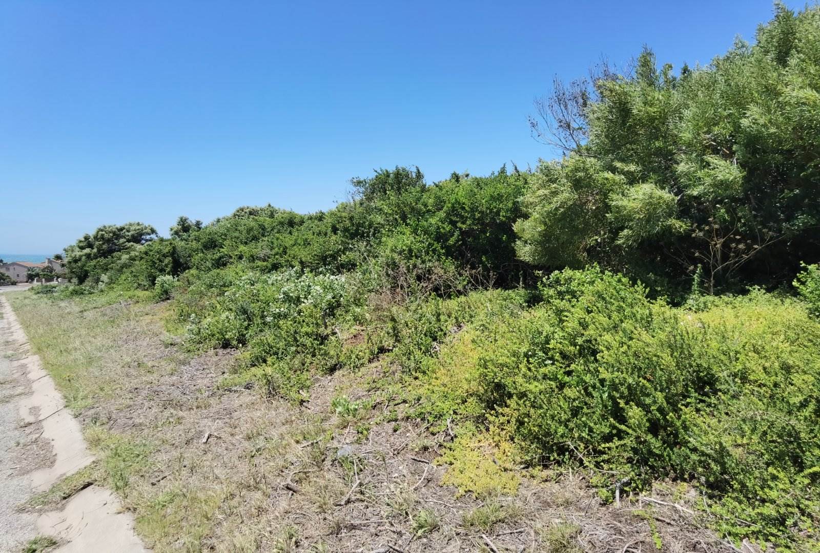 602 m² Land available in St Francis Bay photo number 6