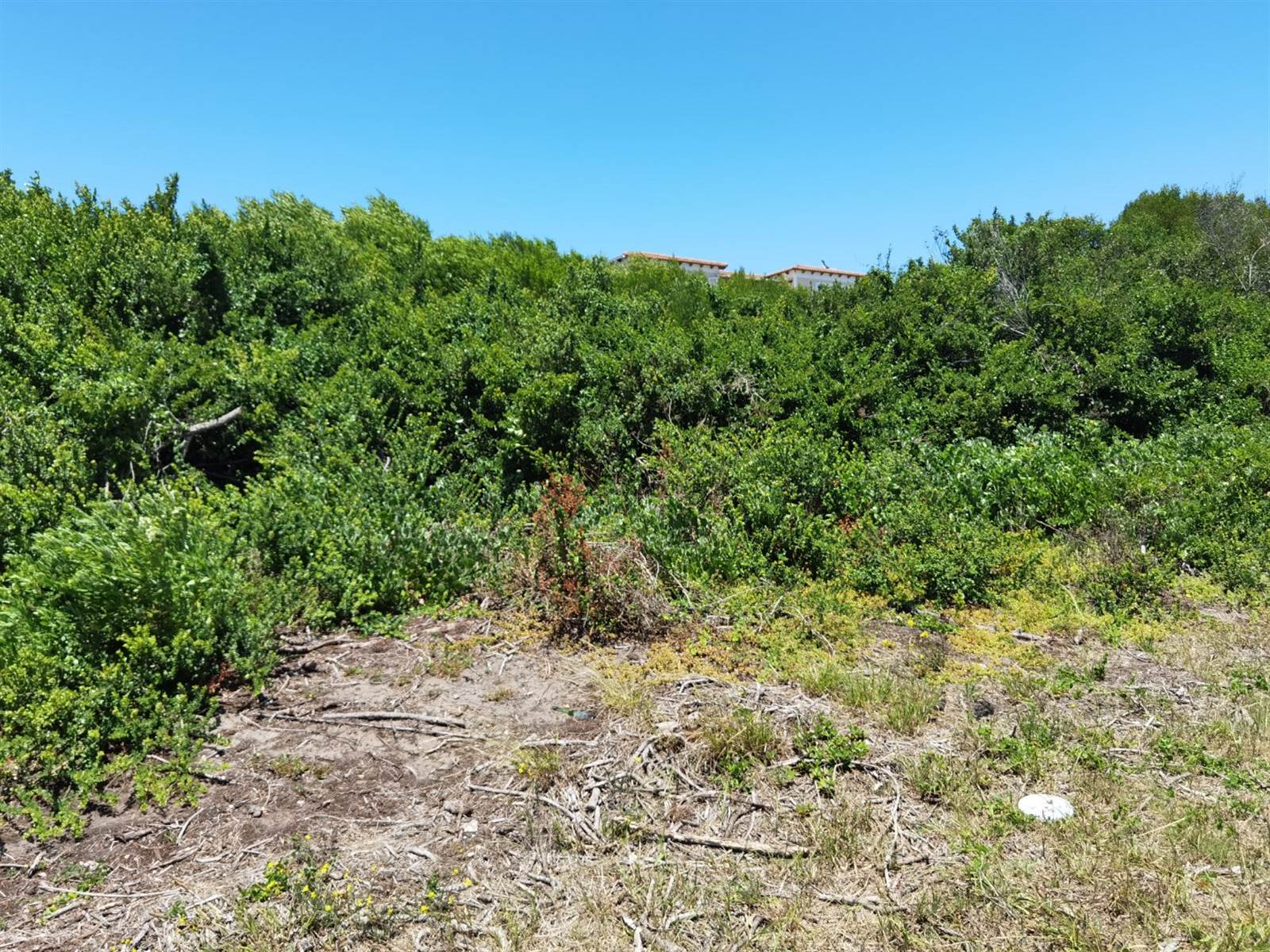 602 m² Land available in St Francis Bay photo number 4
