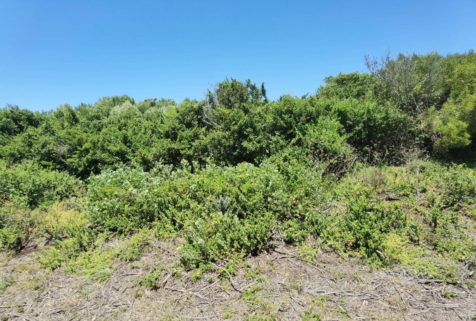 602 m² Land available in St Francis Bay photo number 5