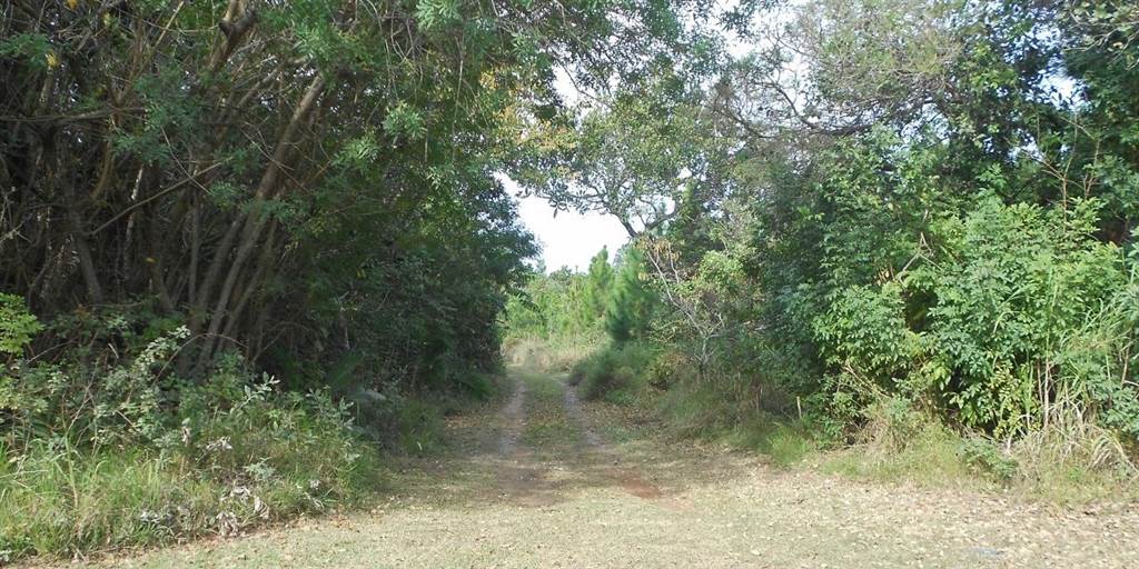 1928 m² Land available in Palm Beach photo number 4