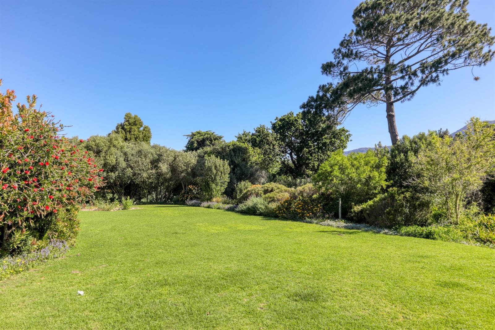 1046 m² Land available in Constantia photo number 5