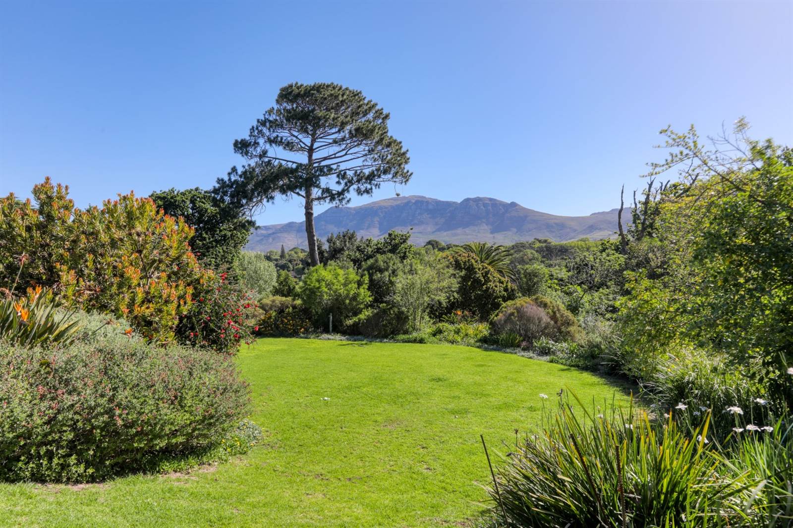 1046 m² Land available in Constantia photo number 6