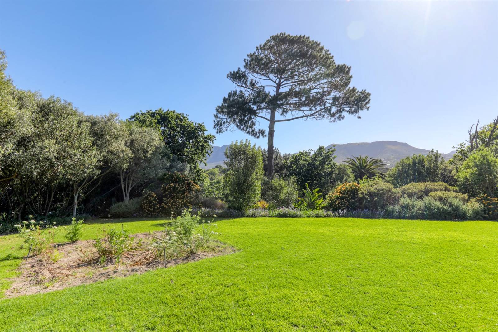 1046 m² Land available in Constantia photo number 9