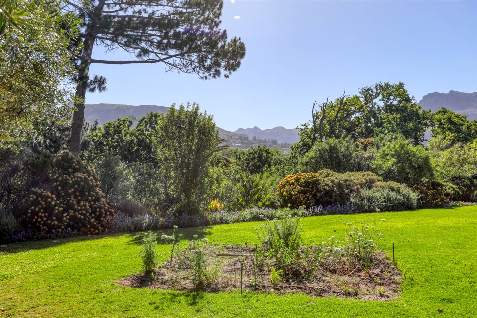 1046 m² Land available in Constantia photo number 7