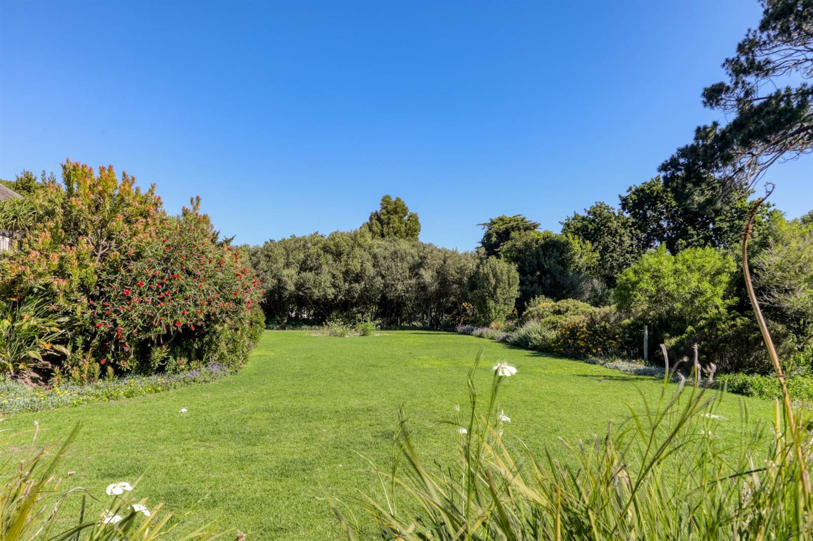1046 m² Land available in Constantia photo number 2