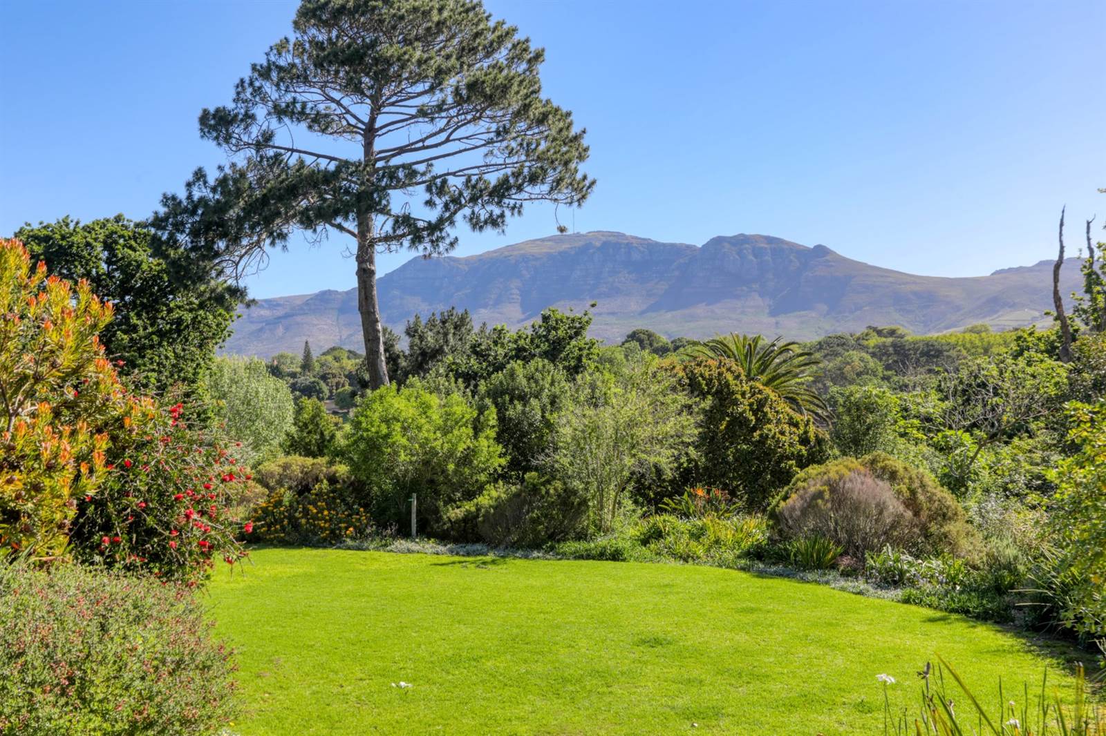 1046 m² Land available in Constantia photo number 3