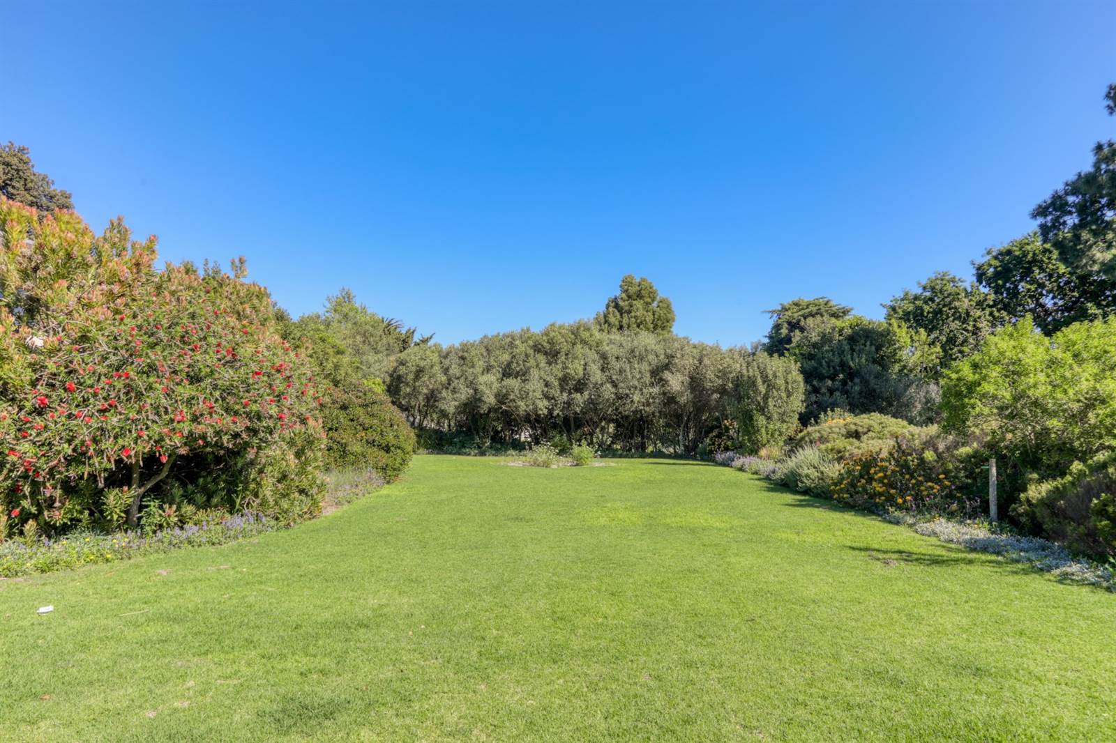 1046 m² Land available in Constantia photo number 4
