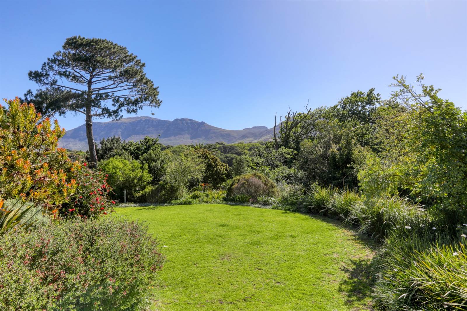 1046 m² Land available in Constantia photo number 1