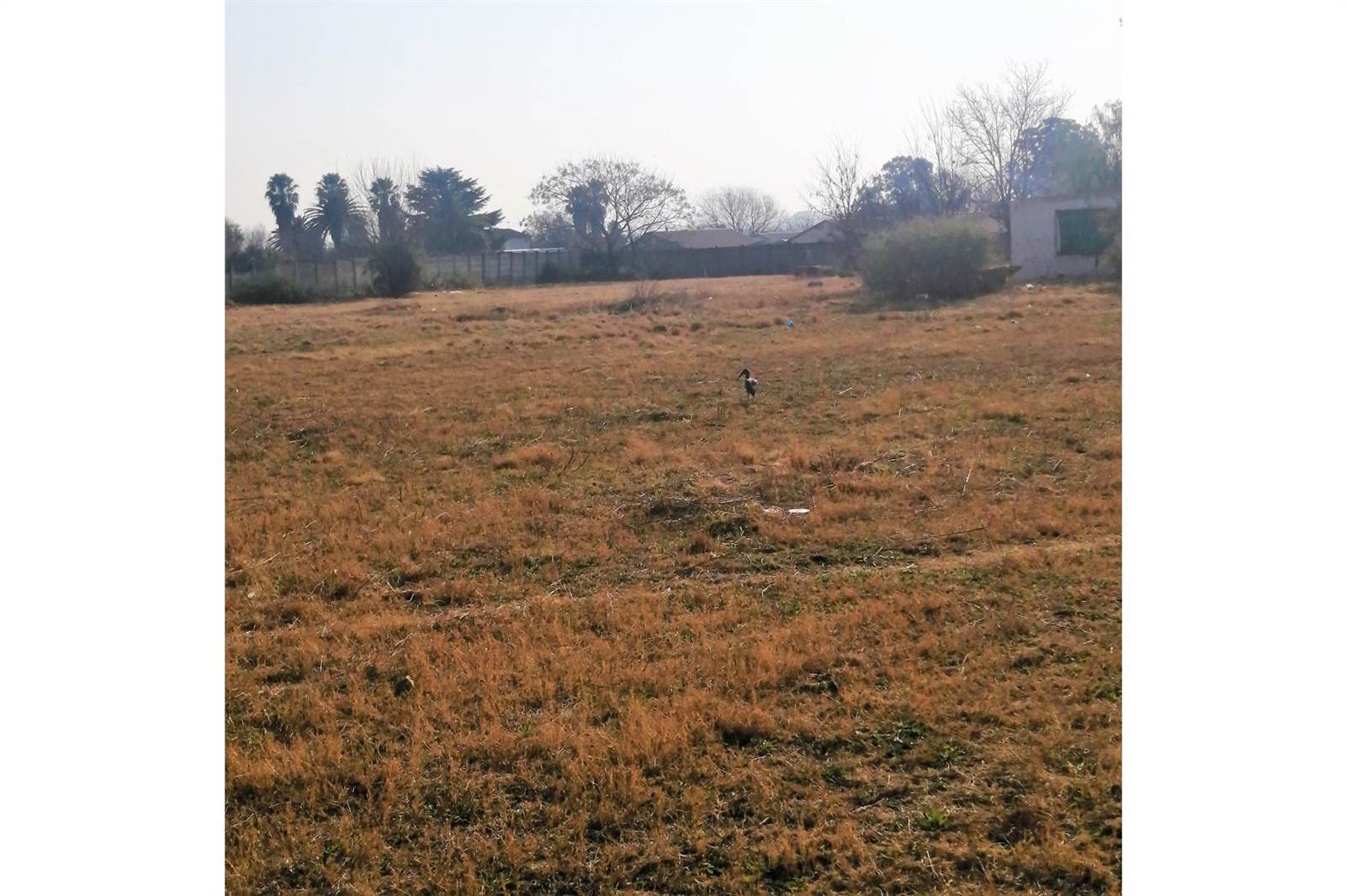 8072 m² Land available in Riversdale photo number 4