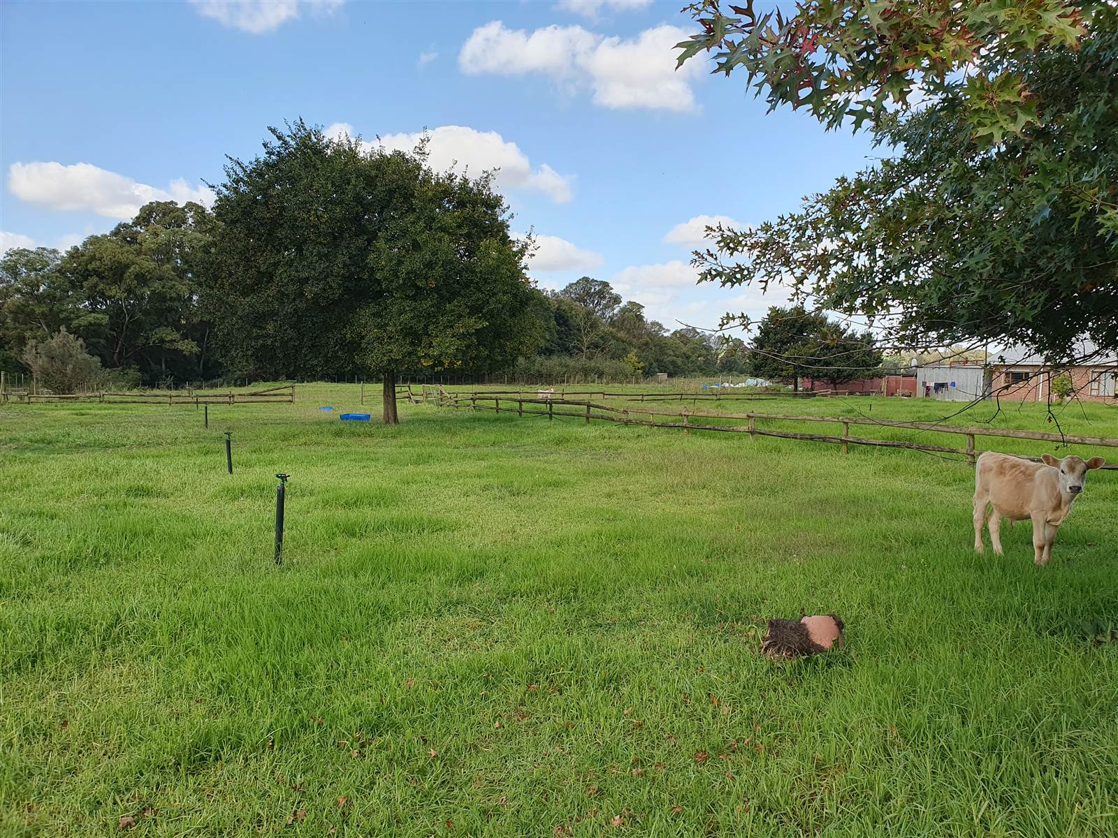 1 ha Land available in Riversdale photo number 5