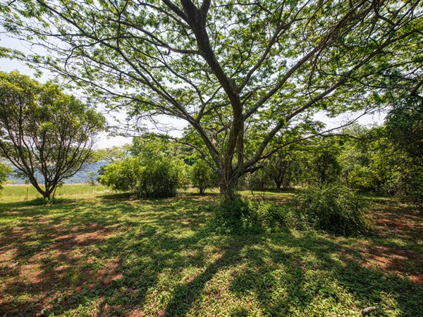 3645 m² Land available in Hilton