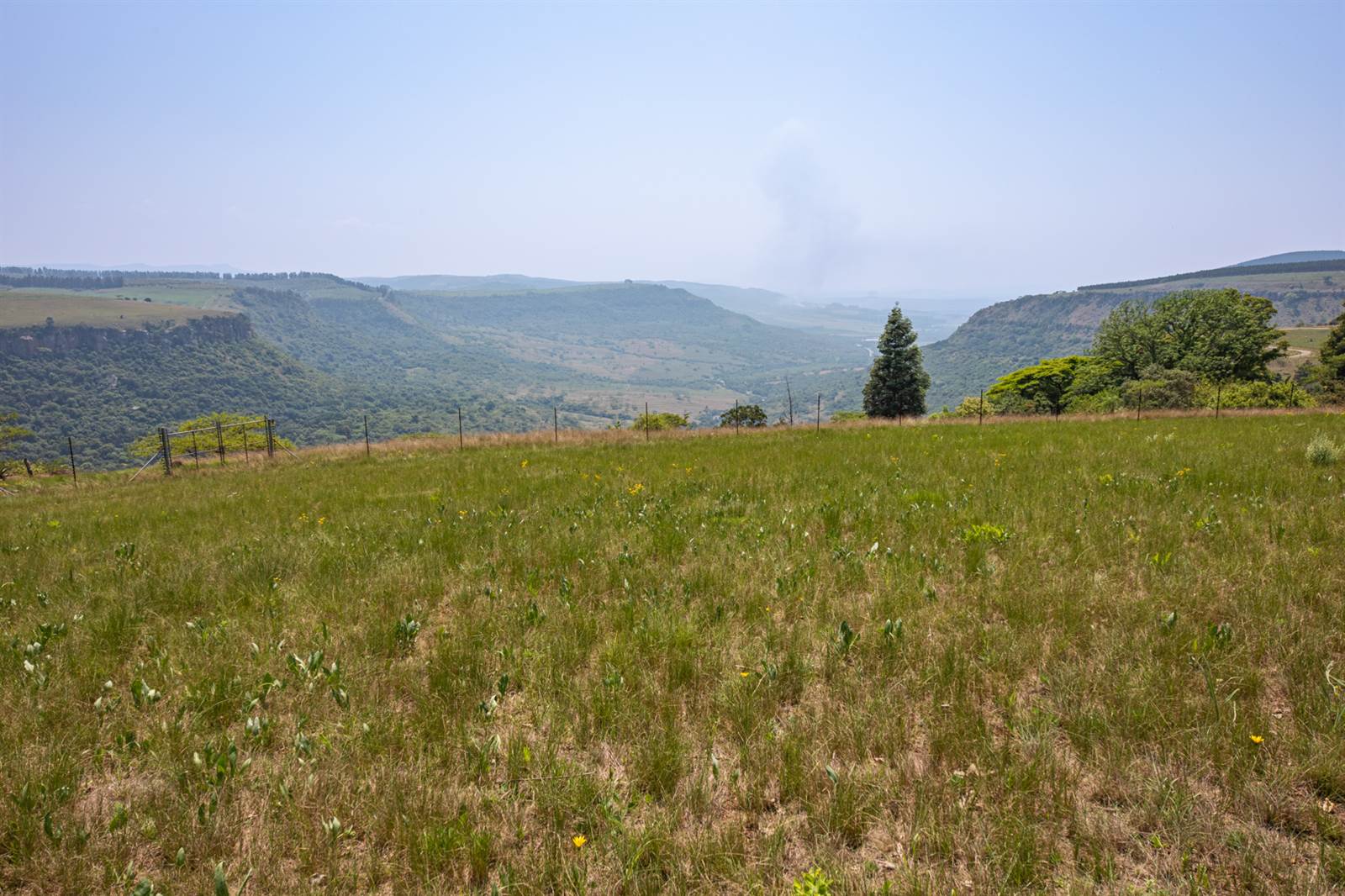3645 m² Land available in Hilton photo number 5