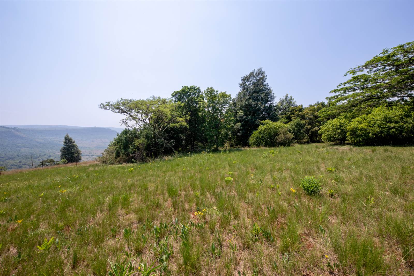 3645 m² Land available in Hilton photo number 4