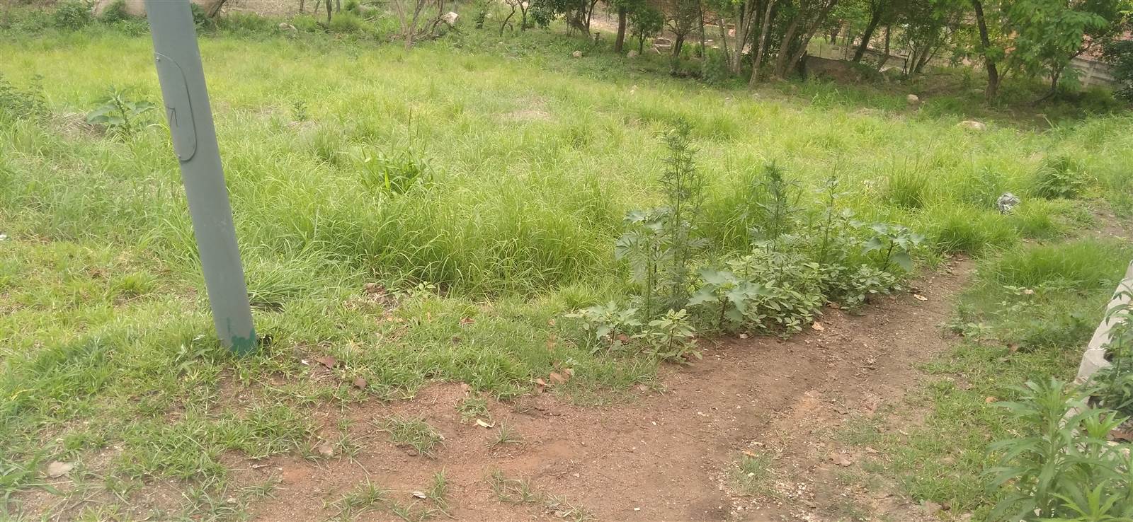 1647 m² Land available in Nelspruit photo number 6
