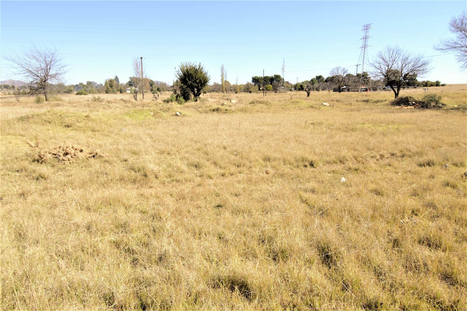 1488 m² Land available in Ladybrand photo number 3