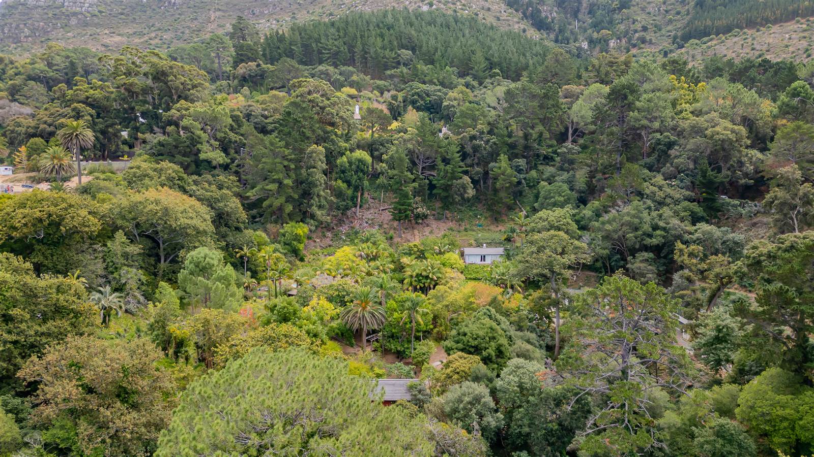 8000 m² Land available in Constantia photo number 20