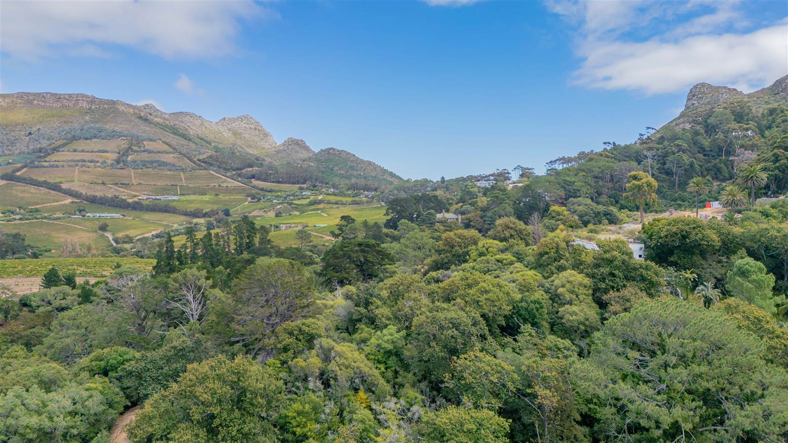 8000 m² Land available in Constantia photo number 3