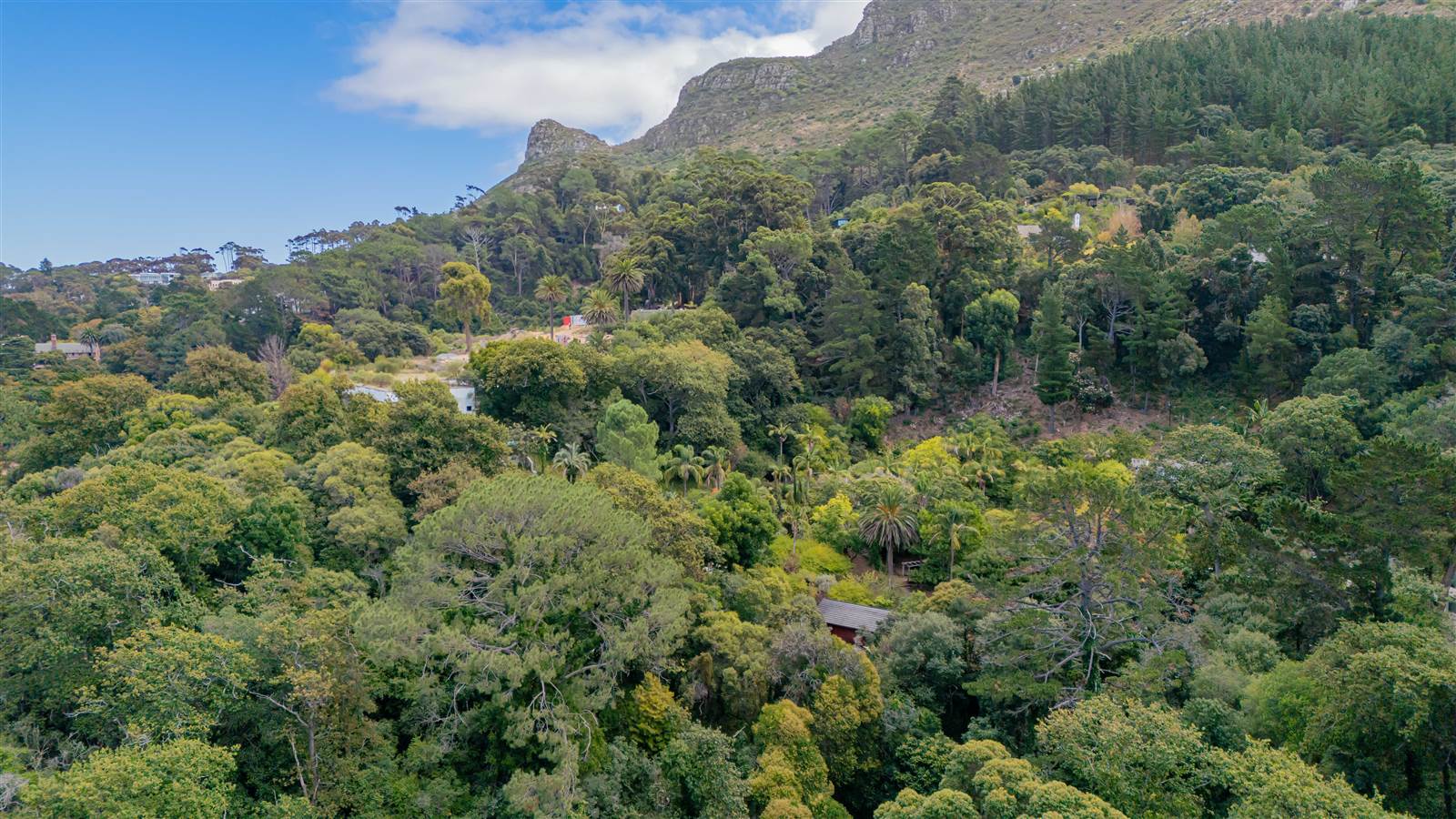 8000 m² Land available in Constantia photo number 2