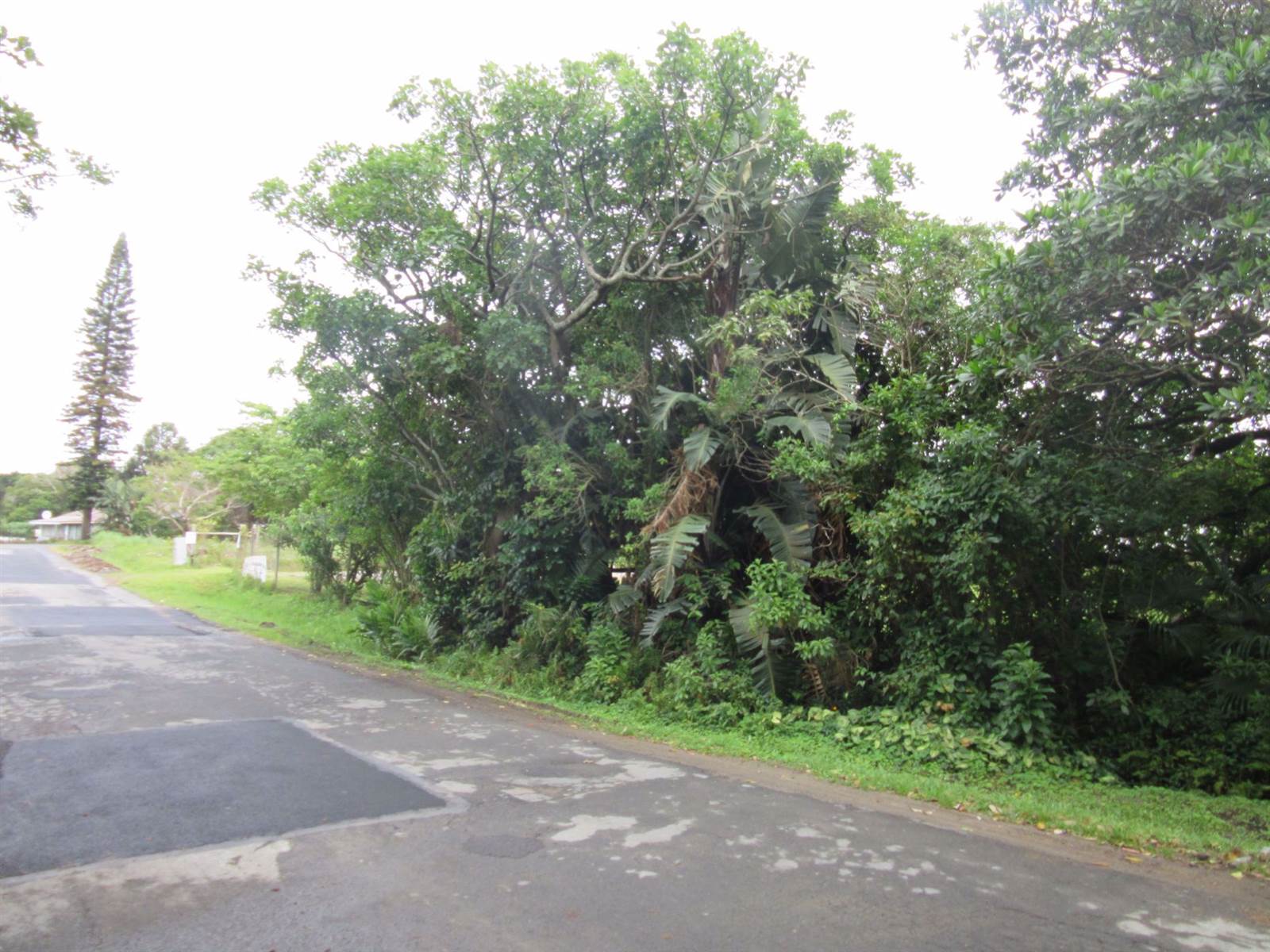 1275 m² Land available in Port Edward photo number 7