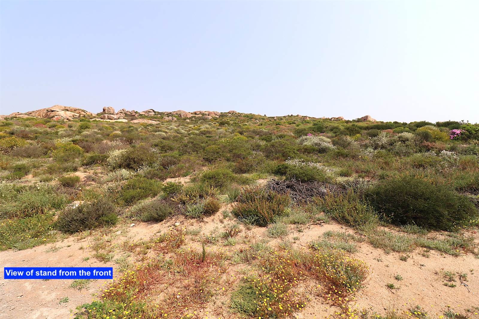 852 m² Land available in Britannica Heights photo number 4