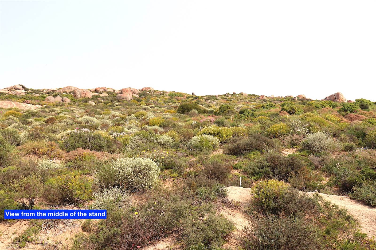 852 m² Land available in Britannica Heights photo number 10