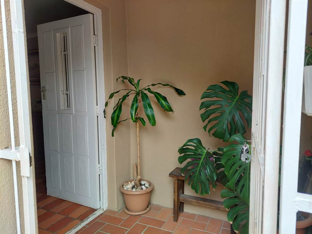 3 Bed House in Rome photo number 3
