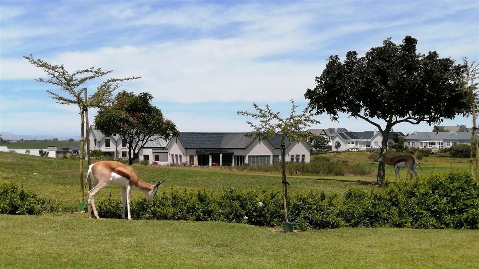 901 m² Land available in Kingswood Golf Estate photo number 13
