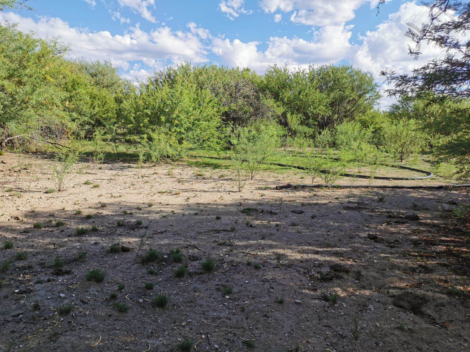 8.8 ha Land available in Griekwastad photo number 5