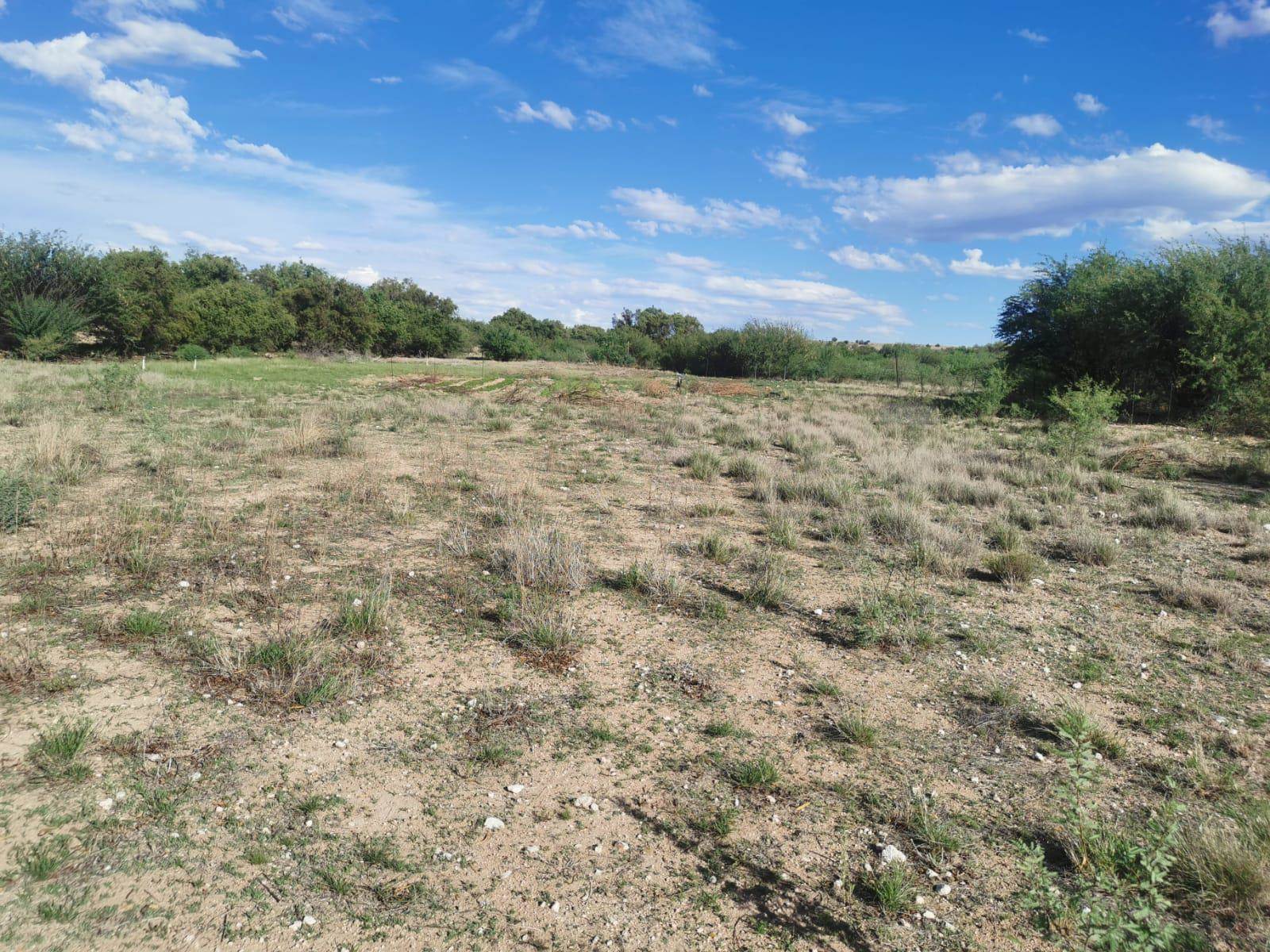 8.8 ha Land available in Griekwastad photo number 9