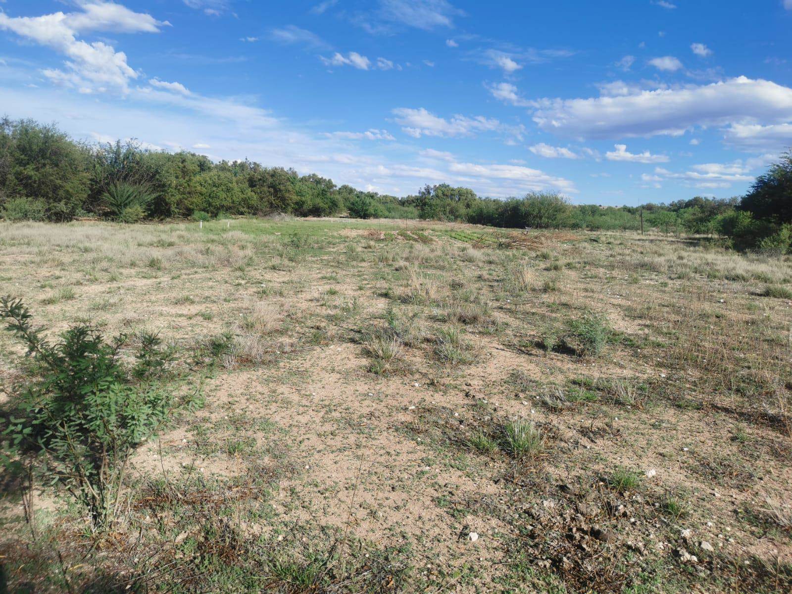 8.8 ha Land available in Griekwastad photo number 7
