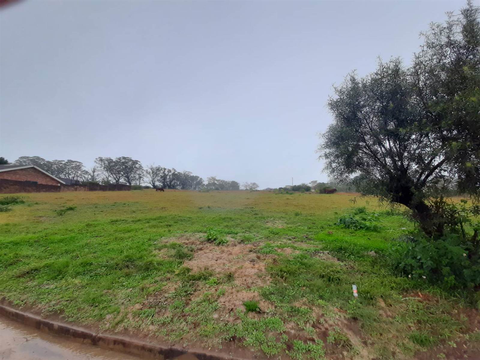 1776 m² Land available in Alexandria photo number 3